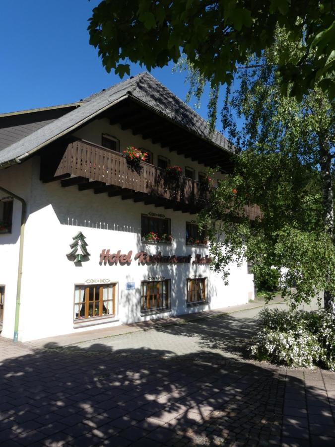 Hotel Maien Todtmoos Exterior photo
